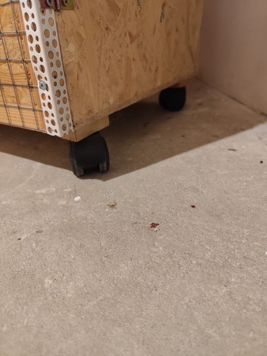 Клітка-Вольєр для домашніх улюбленців