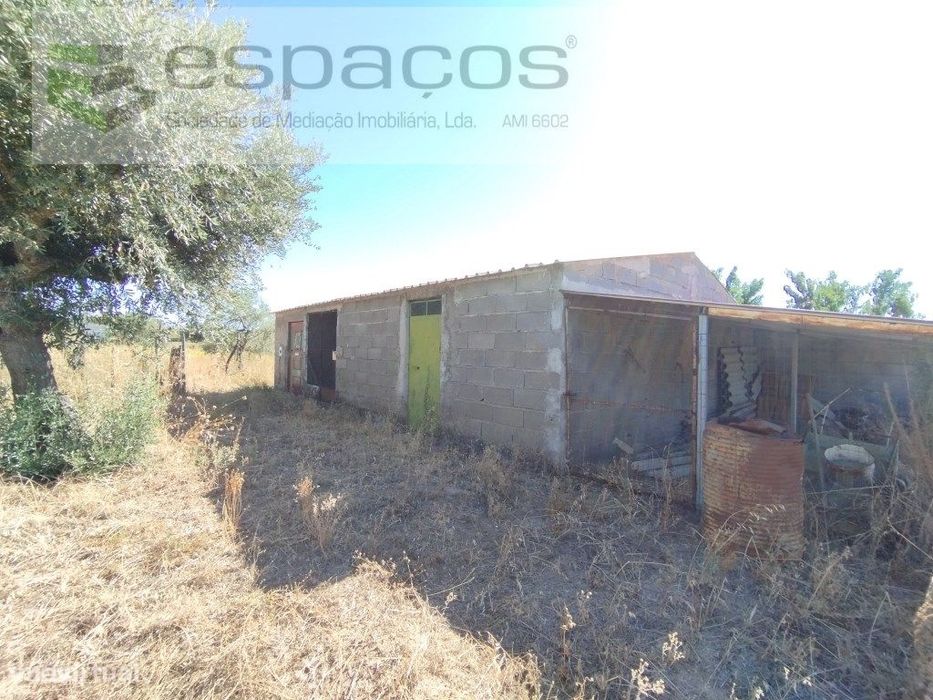 Quintinha com construção e poço