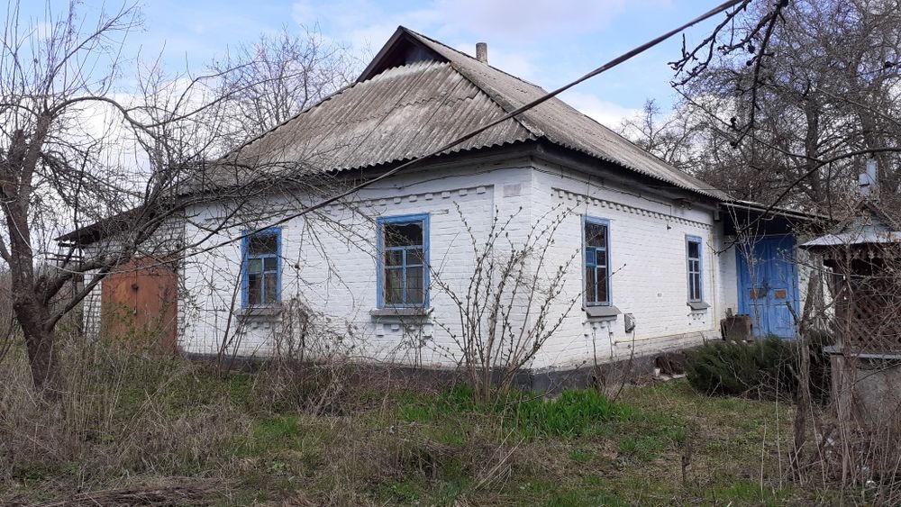 Будинковолодіння Гречанівка. 40 соток землі