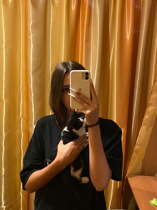 віддам котика, хлопчик