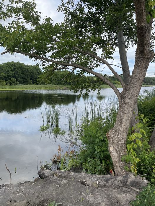 Кийлів. Ділянка з власним виходом на р.Дніпро!