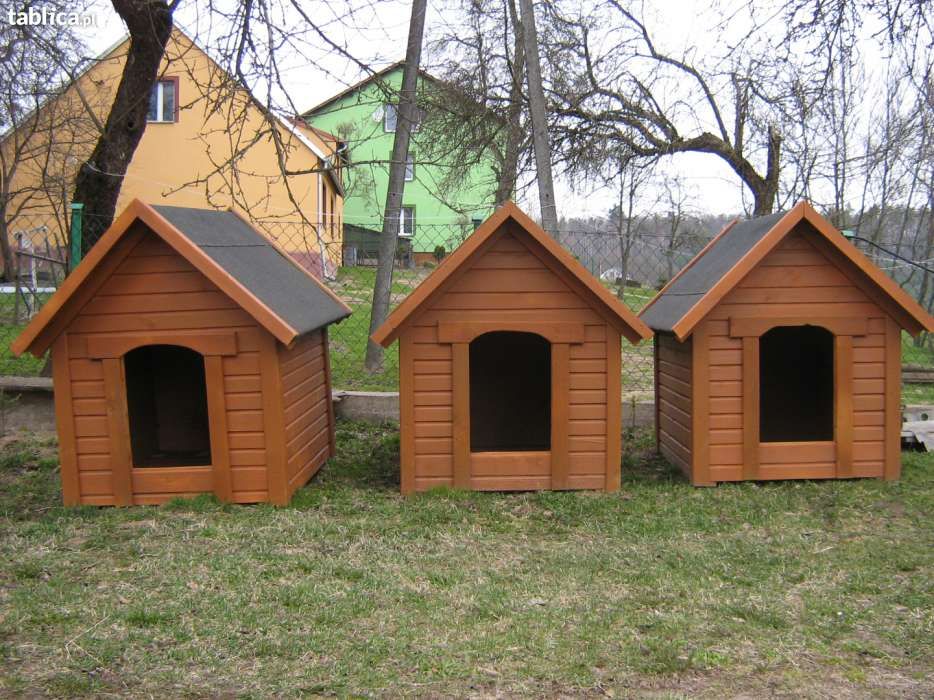 buda dla psa,spaniel,begel