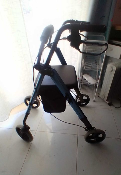 Andarinho com rodas adulto
