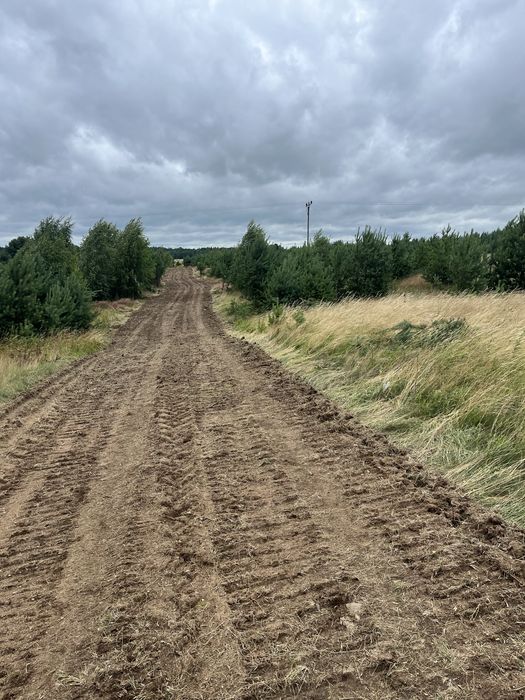 Działki z zabudową jednorodzinną blisko jeziora.