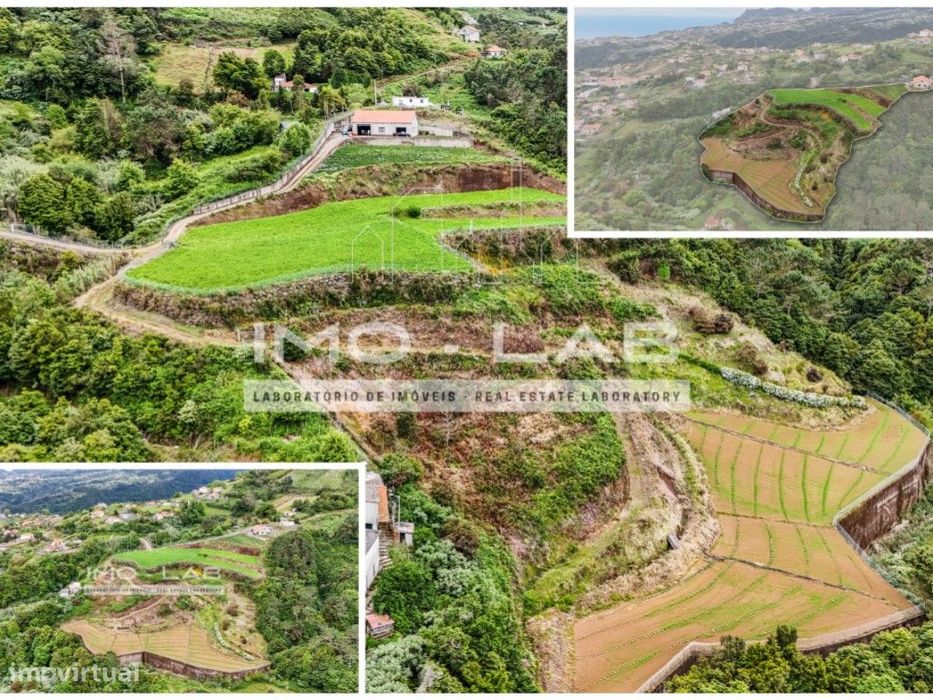 Armazém + 25.566m2 de Terreno Cultivado - São Jorge - Santana