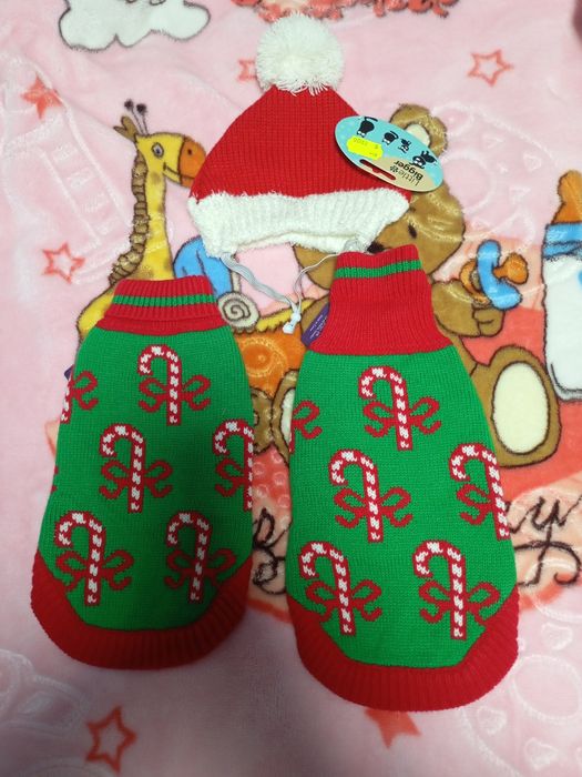 Жилетки шапочка для собачок