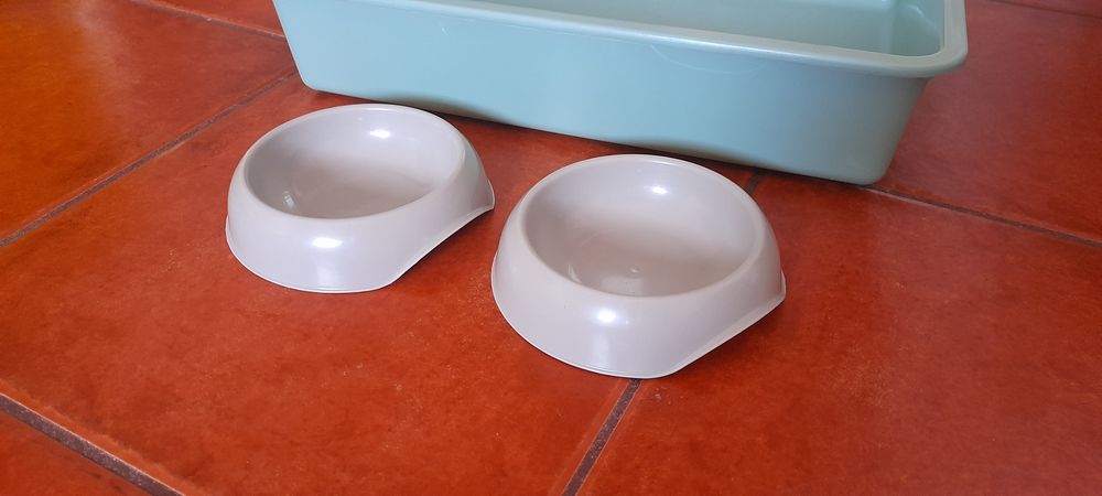 Tabuleiro/caixa de areia e comedouro