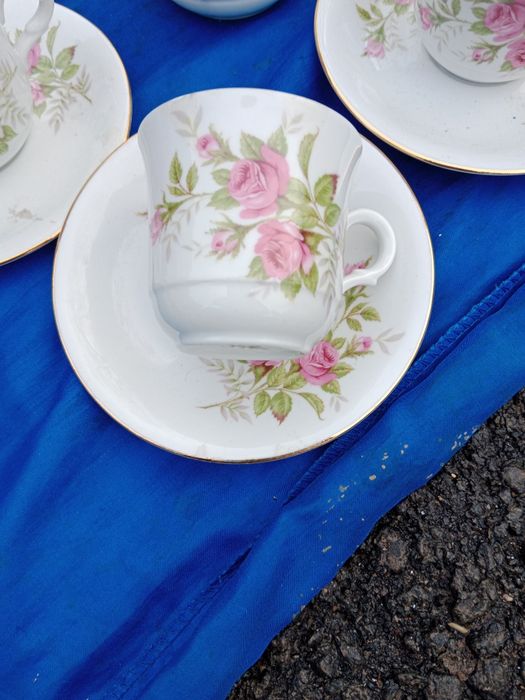 Filiżanki z mlecznikiem