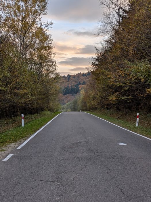 Decyzja środowiskowa