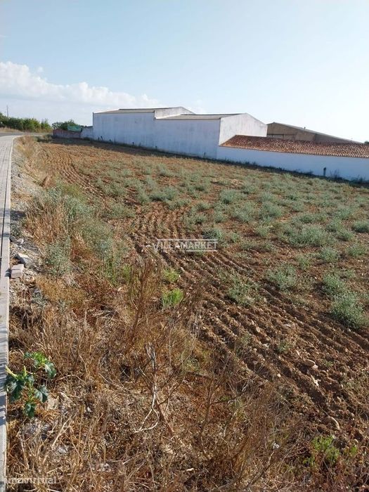 Terreno  em S João de Negrilhos — São João de Negrilhos, Beja