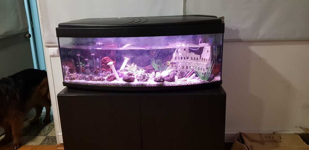 Vendo aquário 200 lt