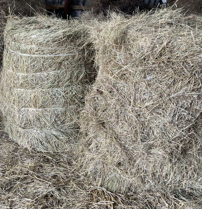 Сіно / є доставка