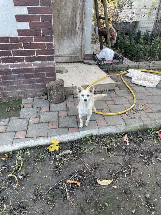 Чудом выжившая девочка