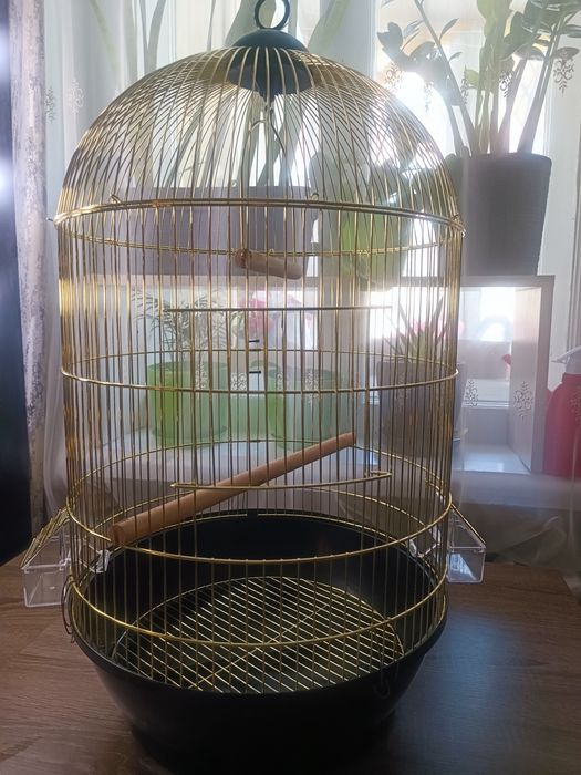 Клітка для папуги