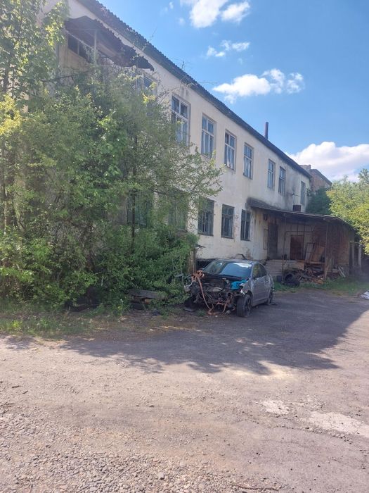 Продається Завод  2000 м2, Закарпаття Берегівський р-н ., с.Онок