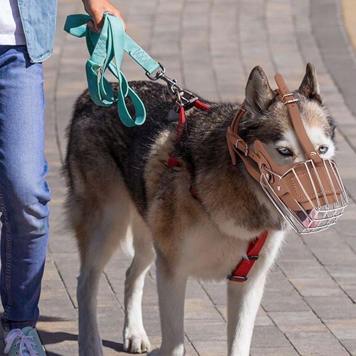 Kaganiec dla psa metalowy brązowy rozmiar L