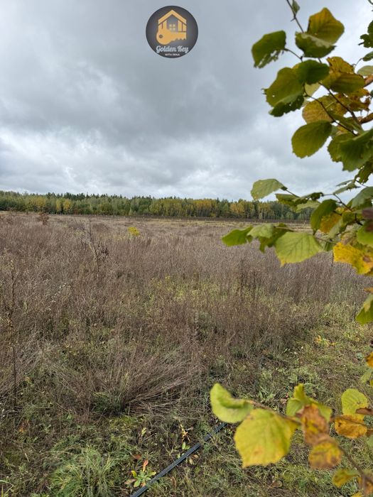Продам 1.4га під садівництво, засаджено горіхами, бізнес, 40кмКиїв