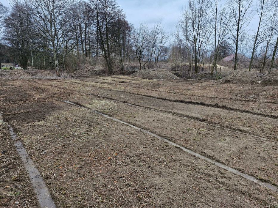 Wycinka drzew, czyszczenie działek, przygotowanie pod budowę, mulczer leśny