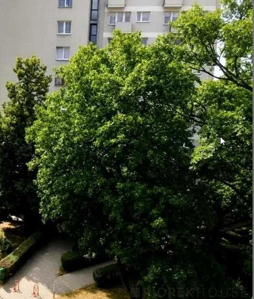 Zdjęcie 5
