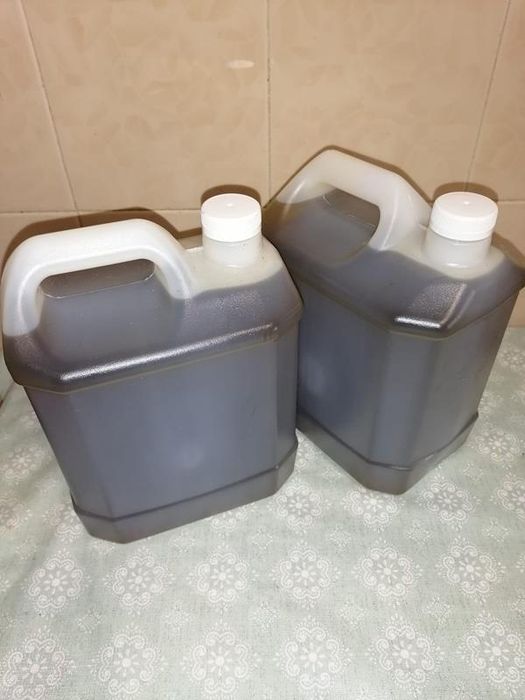 Azeite campanha 2024