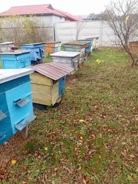 Продам вулики лежаки б у