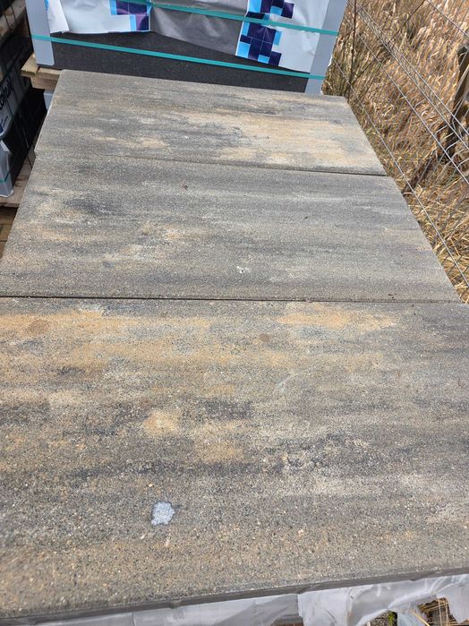 Płyta betonowa, wielkoformatowa 80x40x8 muszlowa,