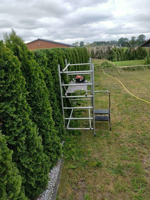 Wycinka Drzew. Prace Ogrodnicze. Podnośnik koszowy. Brukarstwo