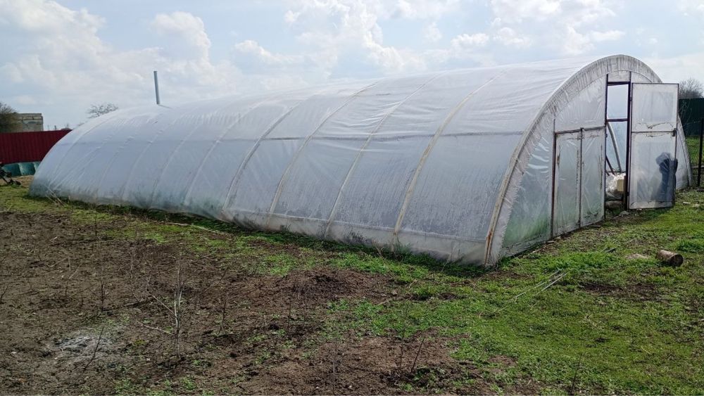 Теплиця велика; 7*12