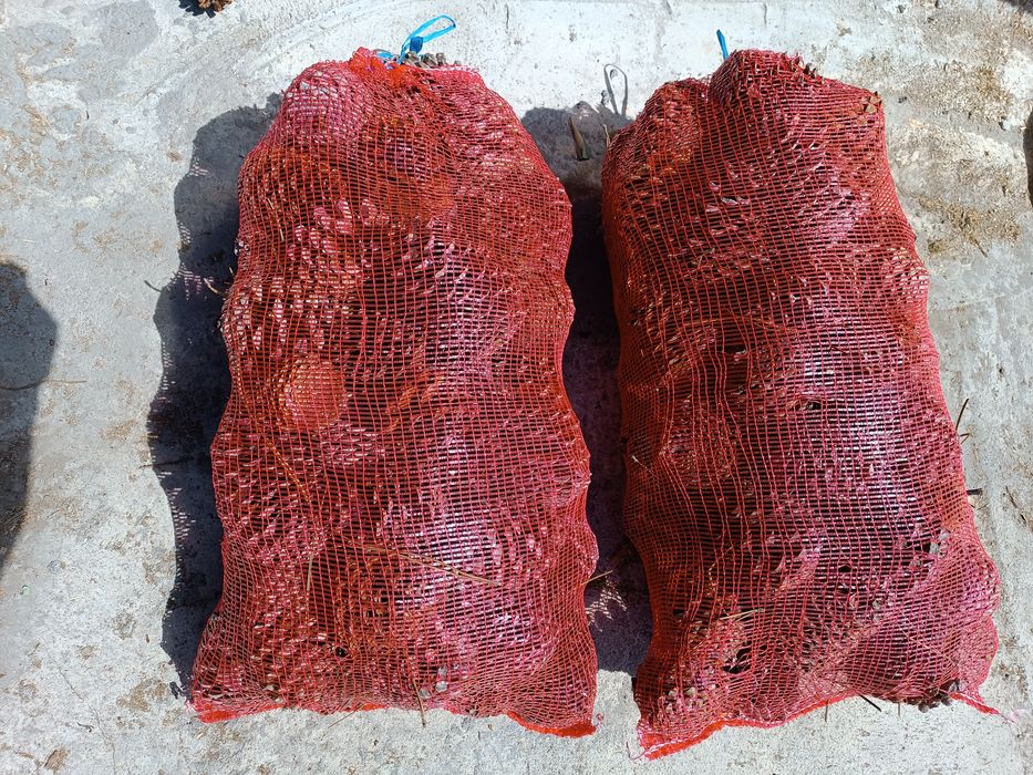 Lenha  para aquecimento