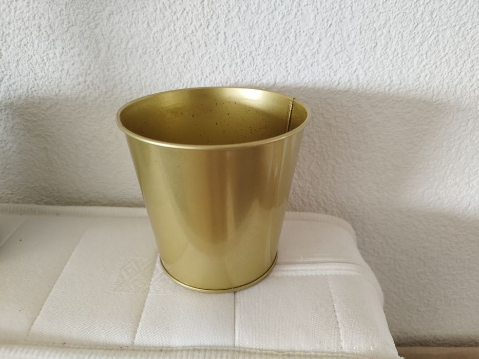 гіпеаструм амаріліс амариллис лілія кімнатна квітка кашпо