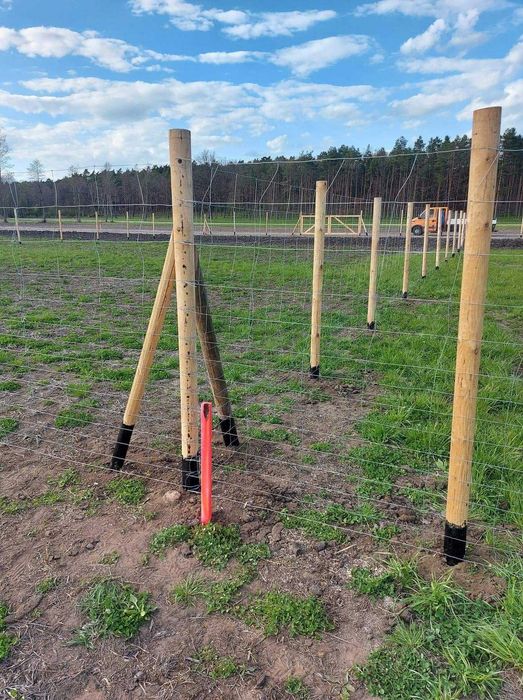 ogrodzenie budowlane tymczasowe  leśne pola upraw siatka leśna