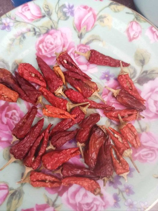 Насіння перцю чилі особливо гострий