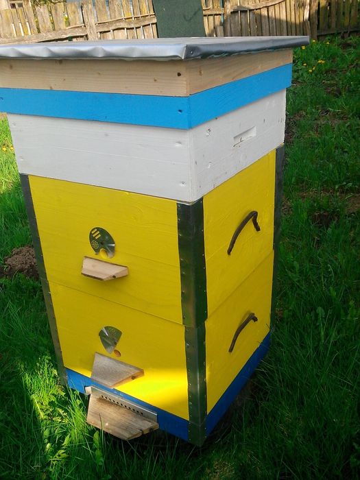 Вулики дадан двокорпусні з магазином