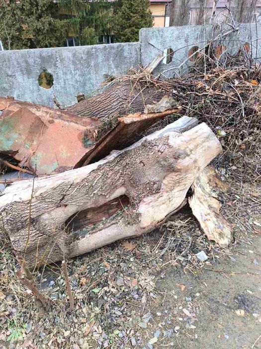 Деревина для обробки, дрова