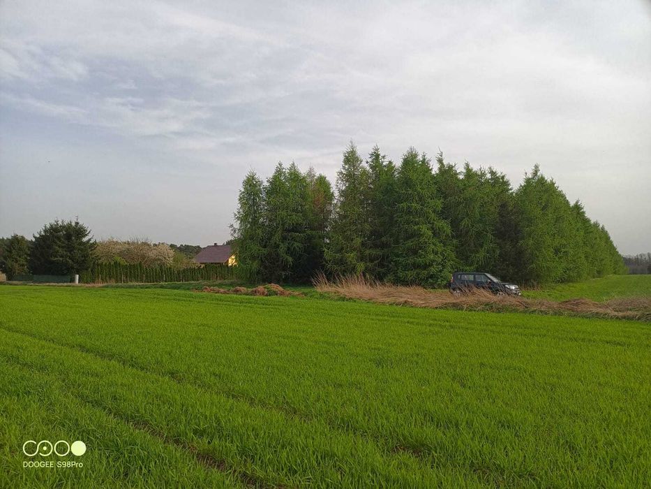 Działka rolno-budowlana na sprzedaż