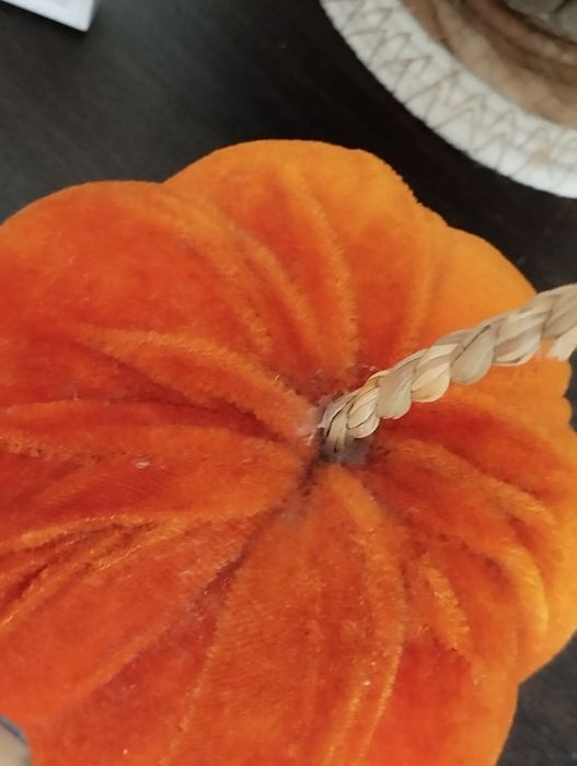 Dynia ozdobna welurowa