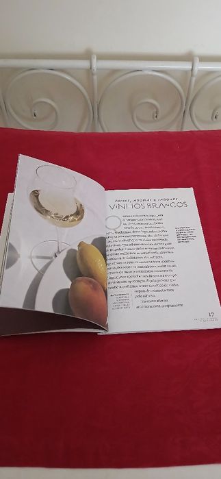 ABC  dos vinhos - A arte de beber