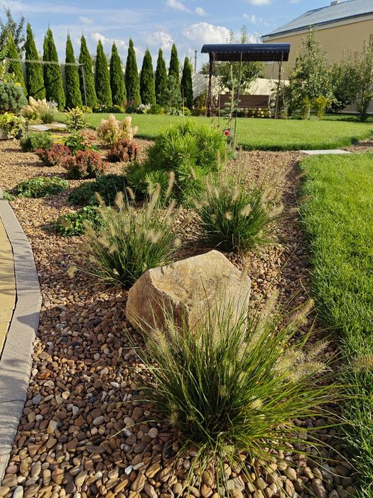 Пенісетум карликовий Літл банні