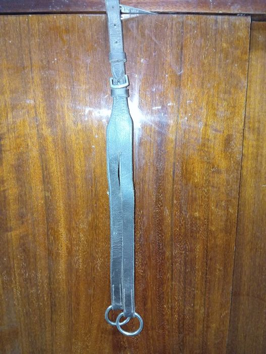 Sela/ Selim de ensino lexhis kll completo com cabeçada