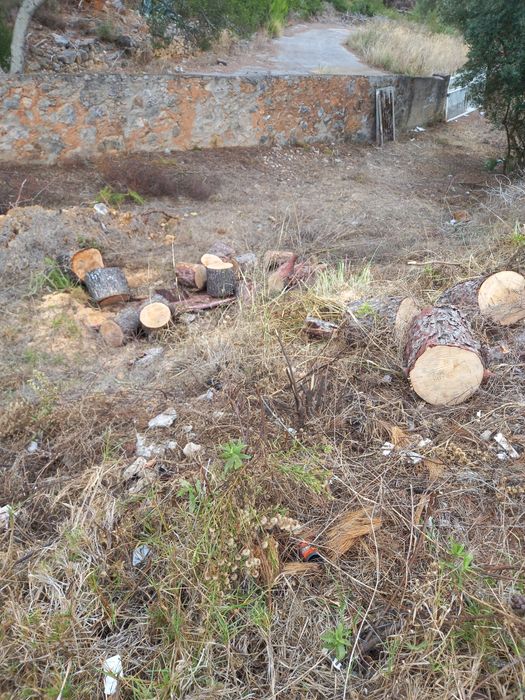 Trabalhos de limpeza de terrenos, vedação e outros