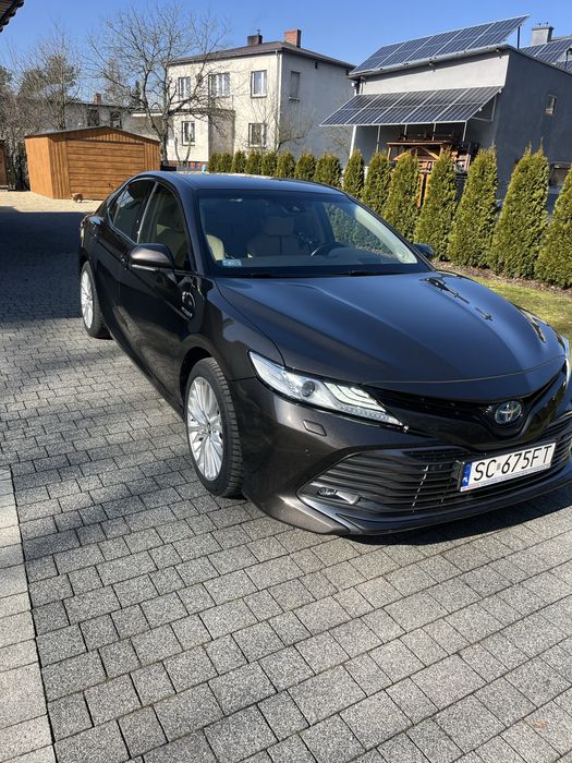 Wynajem auta z kierowcą, obsługa imprez, transport VIP