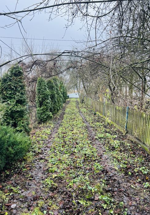 Продаж будинку с.Бишків вул. Стуса