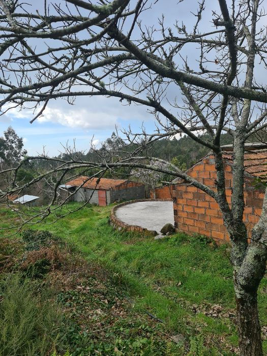 Quinta Agrícola a 5 minutos da A25