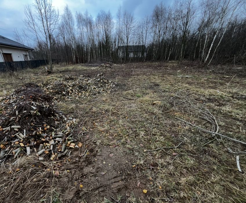 Uslugi rębakiem, wycinka drzew