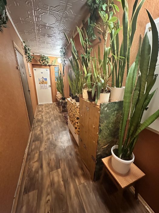 Продам 1к квартиру Голосіівськтй район Метрологічна