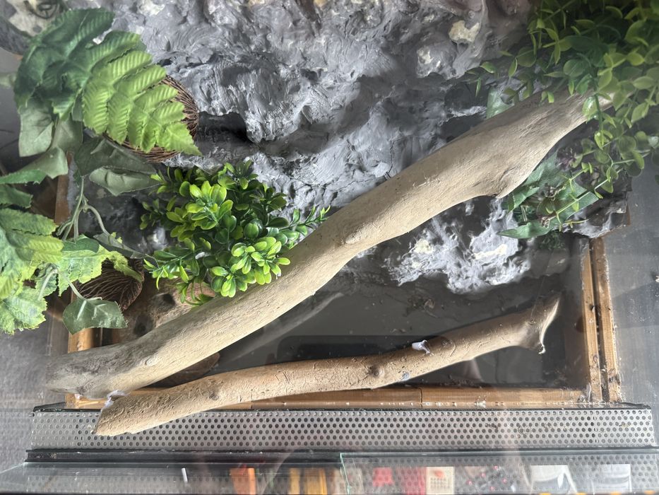 Terrarium dla gekona