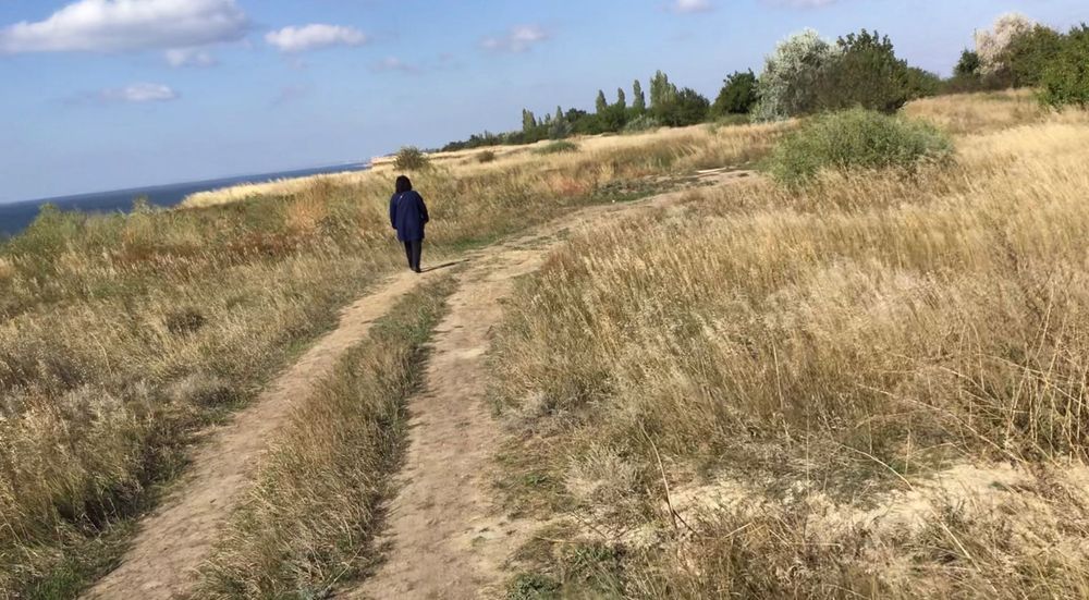 Земельный участок с Рыбаковка первая линия