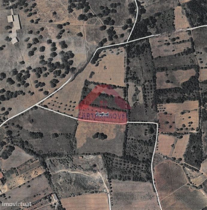 Terreno Rústico  Venda em Pontével,Cartaxo — Pontével, Santarém