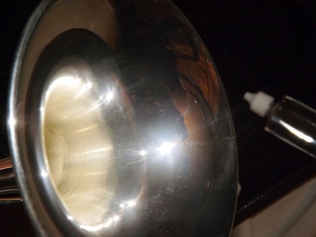 Trompete prateado novo