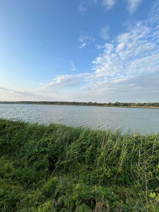 Продаж рибного господарства 504га в с. Куцеволівка